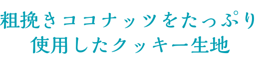 粗びきココナッツをたっぷり使用したクッキー生地